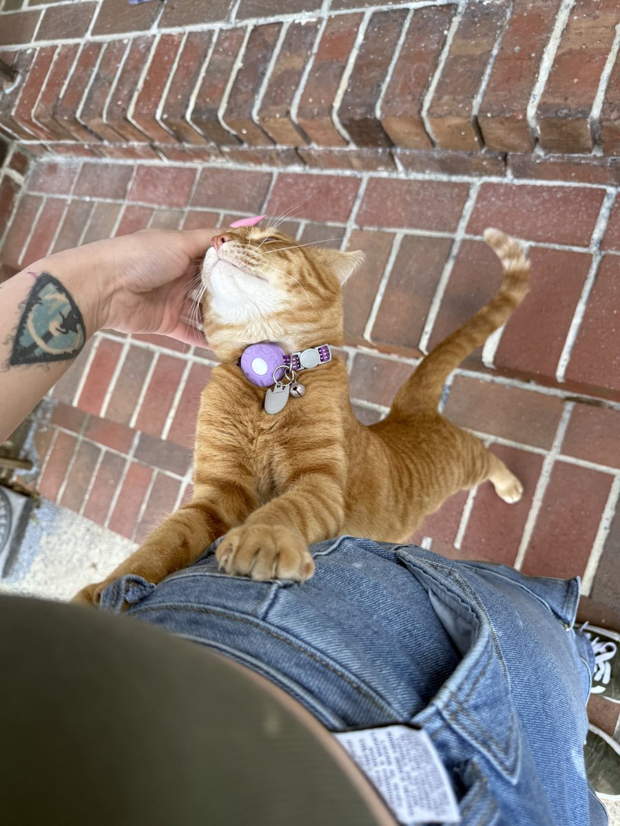 mxprincess's tweet image. instacart perks :)