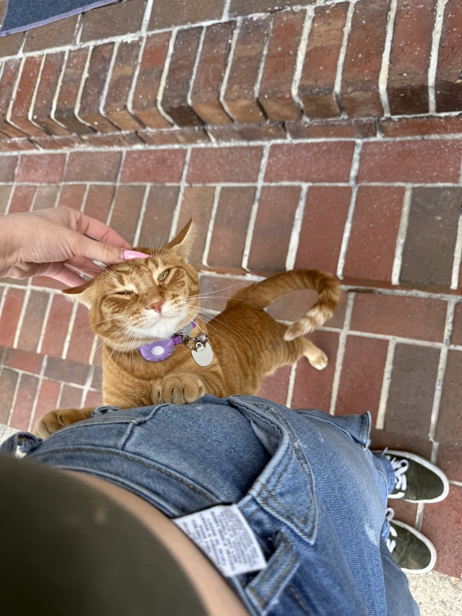 mxprincess's tweet image. instacart perks :)