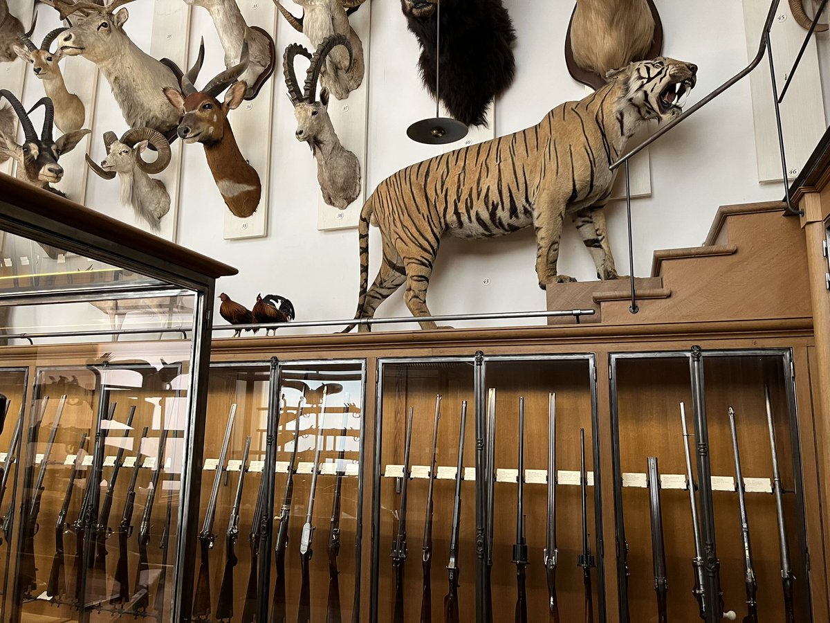 Kat (@kat18261736) on Twitter photo <a href="/ChasseNature/">Musée de la Chasse et de la Nature</a> Il y a une collection incroyable de fusils anciens avec crosses incrustées de nacre . Je conseille le visite . En plus le quartier est agréable <a href="/ChasseNature/">Musée de la Chasse et de la Nature</a> Il y a une collection incroyable de fusils anciens avec crosses incrustées de nacre . Je conseille le visite . En plus le quartier est agréable