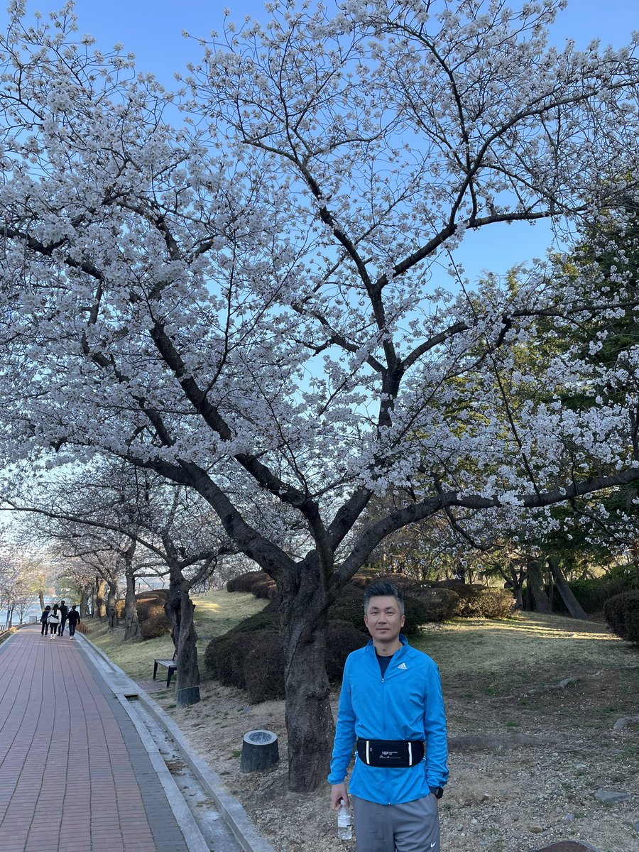 Morning running in HBP surgery week in Gyeongju South Korea☀️