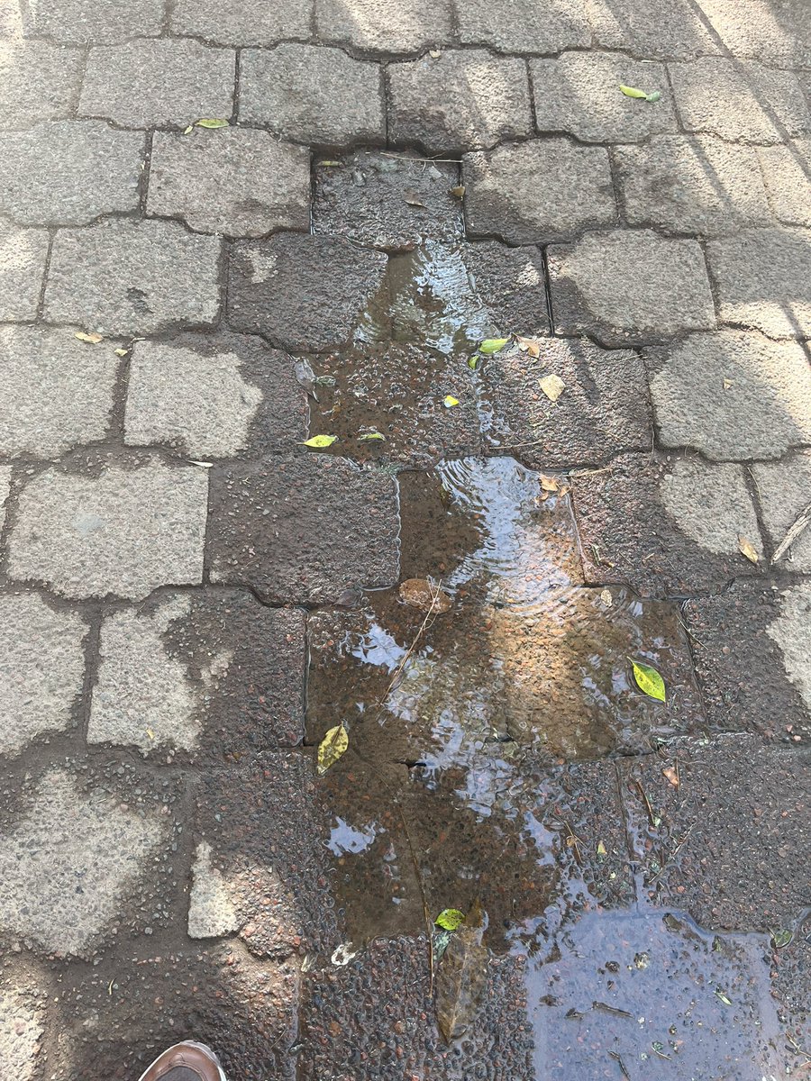 Mach_Arthur's tweet photo. @SEGIAGUA quiero reportar una fuga de agua, la localización es: “Parque Escame”,  Presa escame 40, Col. Irrigación, Miguel Hidalgo, 11500, CDMX.

La fuga está justamente en el centro del parque, les dejo evidencia fotográfica de la situación. Esperamos su pronta atención. https://t.co/TLpVsRiq2C