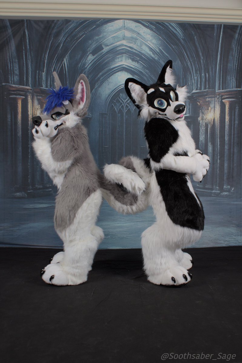 This place looks scary but there’s no one else I would rather lock tails with than <a href="/Sapphire__Husky/">Sapphire Husky</a> 💙☺️

Suits by <a href="/MoreFurLess/">More Fur Less</a> 
#FursuitFriday