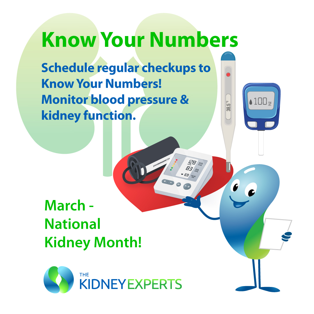 Know Your Numbers! Regular kidney checkups catch problems early when treatment works best. Simple blood &amp; urine tests can save your kidneys! Schedule with The Kidney Experts: 731-300-6155 #KidneyMonth #PreventiveHealth #TKE