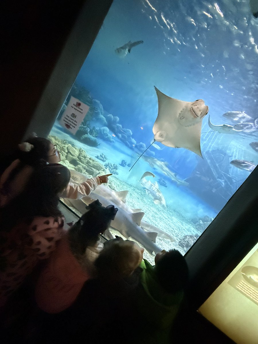 Cheryl O’Donnell tweet media