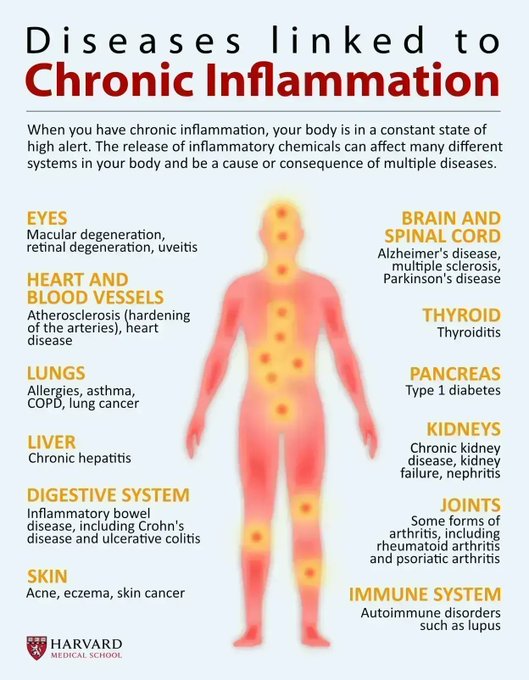 Inflammation plays a central role in healing, but left to run wild, this process can lead to arthritis, heart disease, and #Alzheimers. health.harvard.edu/staying-health… by <a href="/HarvardHealth/">Harvard Health</a>

#dementia #health