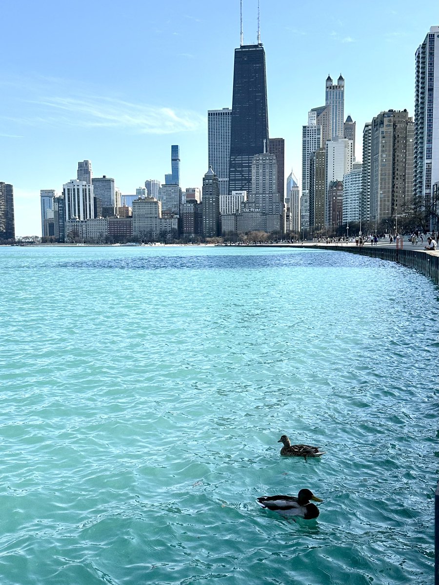 Chicagoans need one day of sunshine w temps over 60 degrees and everyone and their mother is outside on LSD and the citywide depression is lifted