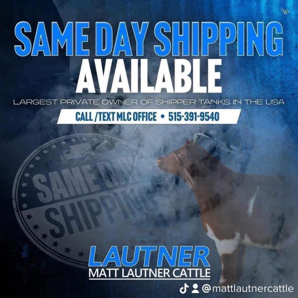 mattlautner's tweet image. From Rachel Dowdell : Colorado

Kung Fu Panda x Data Bank 1st Calf Heifer 

#KidFriendly