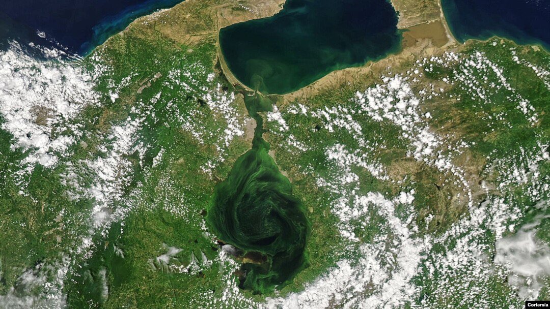 chrrypm's tweet photo. i’m not surprised that venezuela became the first country in the andes region to have all glaciers melted, this is how the biggest lake in the country looks from space due to government negligence and this damage is irreversible, it would take decades to clean https://t.co/IPXkk2mHbY