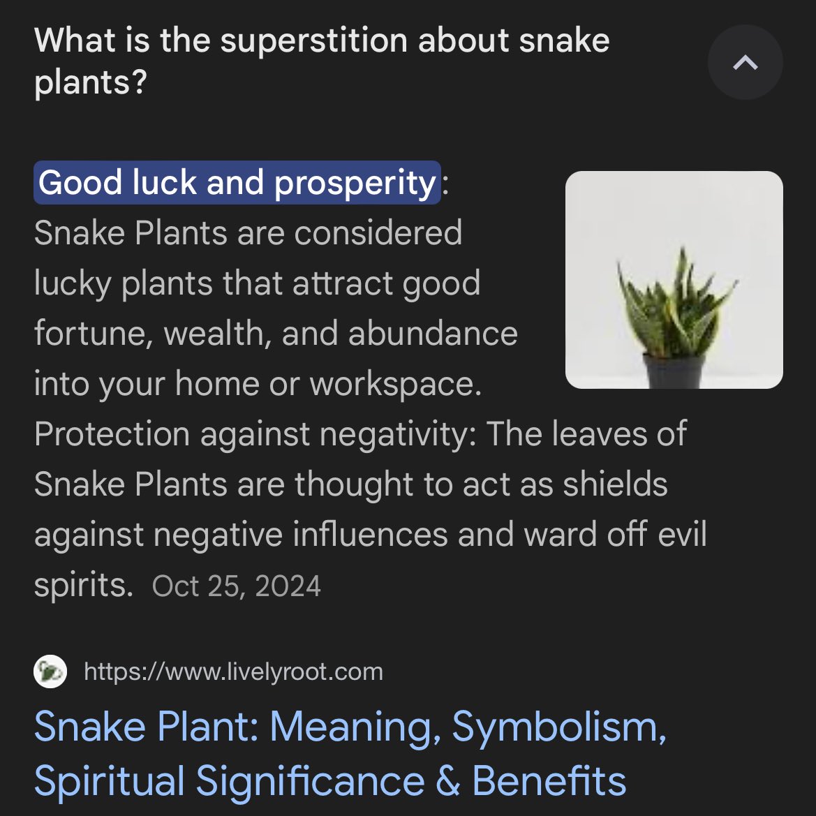 freedapain's tweet image. And then I came across this root breakdown of the term Chromakopia &amp;amp; it could all align, especially with my hat. #KeepFuckingGoing #Chromakopia 😂