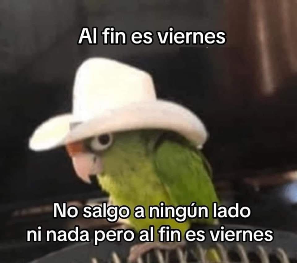 corridosybandas's tweet photo. https://t.co/Va4C9IVezI