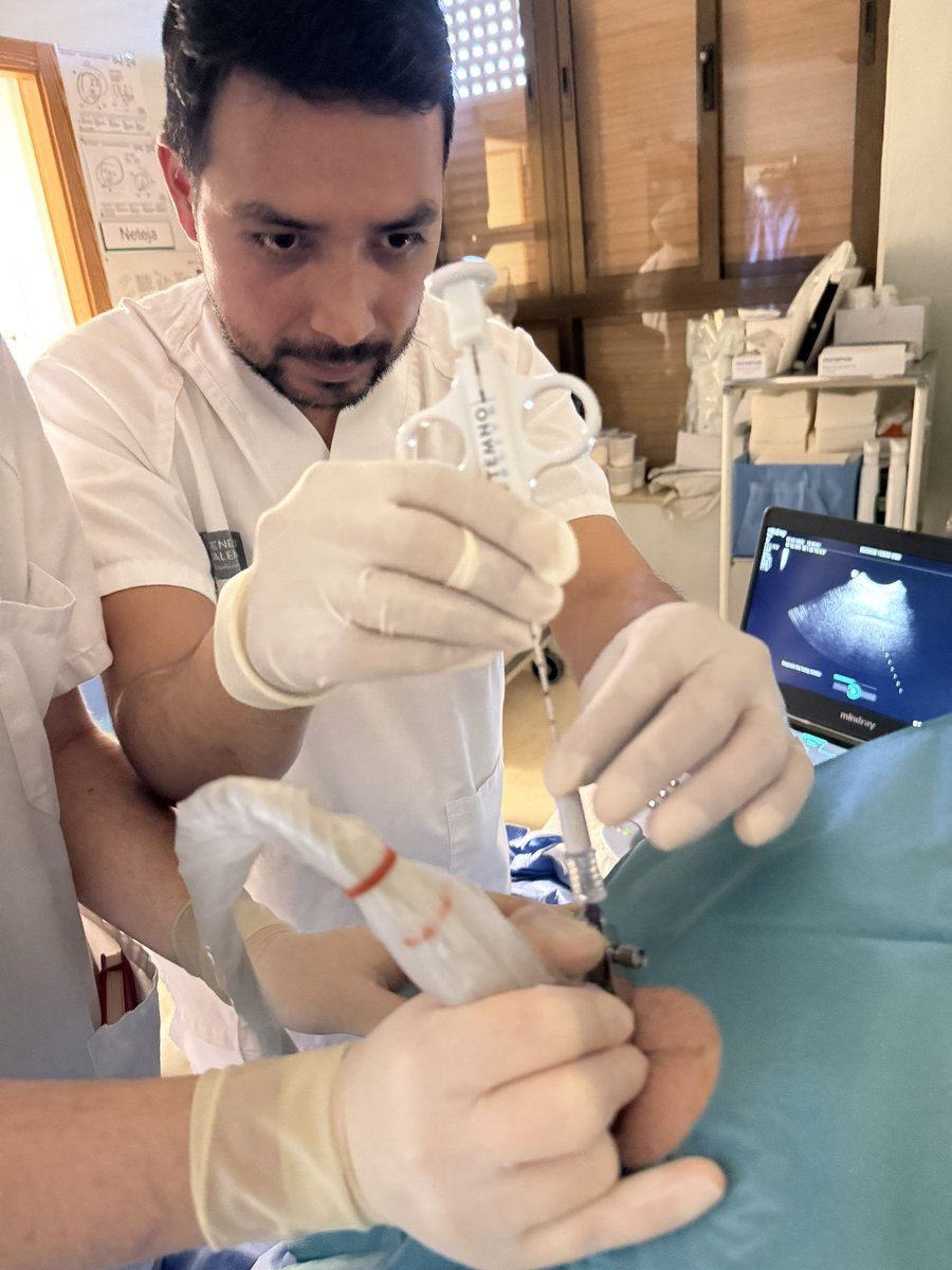 Dario Cruz tweet media
