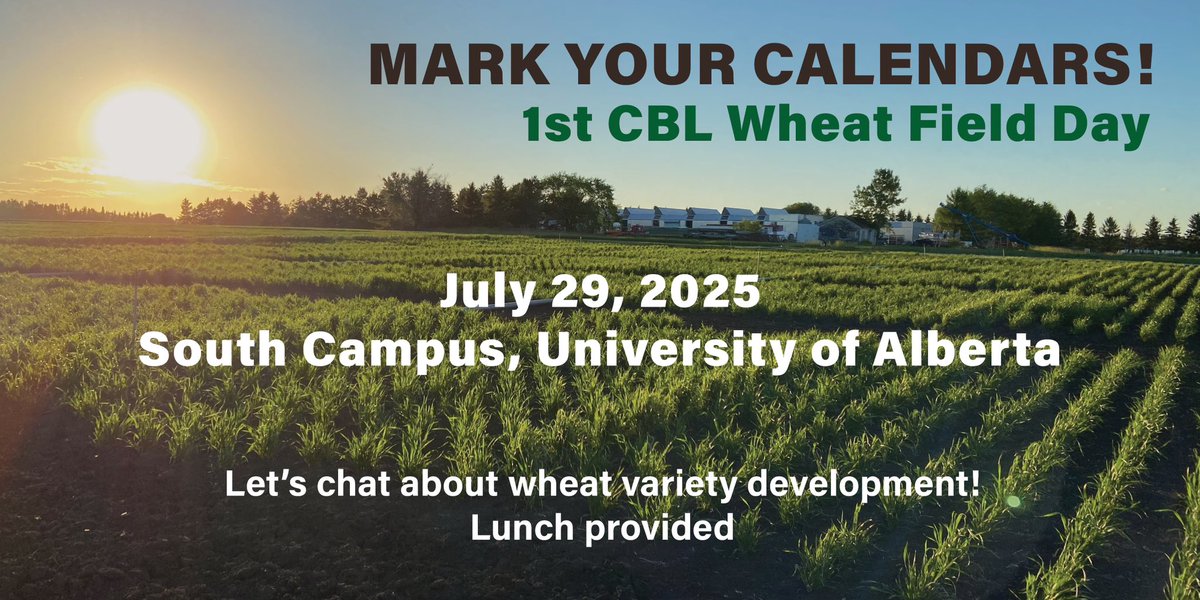 Gurcharn Singh Brar ਗੁਰਚਰਨ ਸਿੰਘ ਬਰਾੜ (@gurcharn_brar) on Twitter photo Mark your calendars for the 1st <a href="/CBL_UA/">UAlberta Cereal Breeding Lab (CBL)</a> Wheat Field Day!
We will walk you through our variety development pipeline, varieties near release, and demonstrate our brand new varieties. <a href="/UAlberta/">University of Alberta</a> <a href="/UofAALES/">UAlberta Faculty of ALES</a> Mark your calendars for the 1st <a href="/CBL_UA/">UAlberta Cereal Breeding Lab (CBL)</a> Wheat Field Day!
We will walk you through our variety development pipeline, varieties near release, and demonstrate our brand new varieties. <a href="/UAlberta/">University of Alberta</a> <a href="/UofAALES/">UAlberta Faculty of ALES</a>