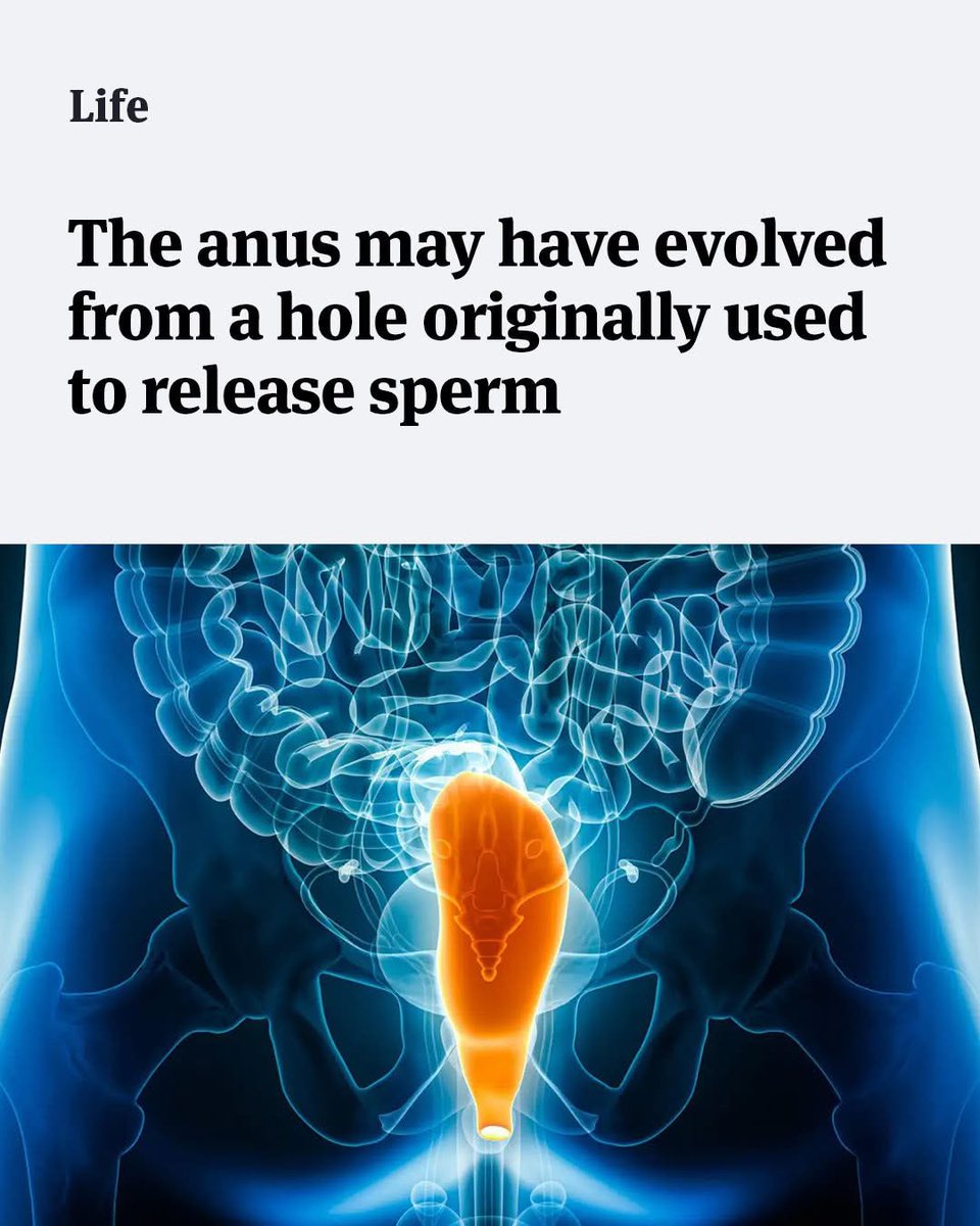 gay guys a reservoir of phylogenetic ancestral memory