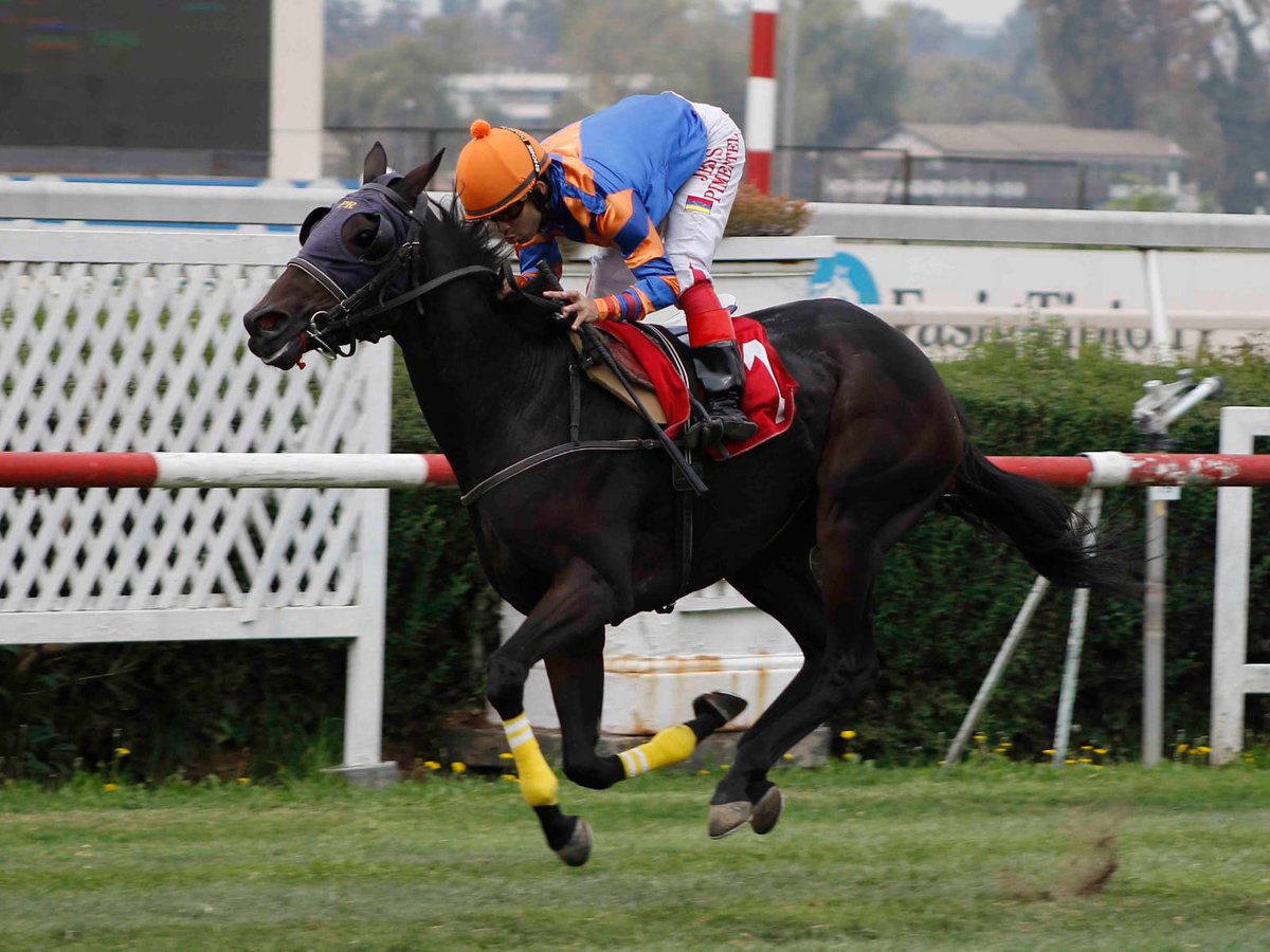 JesusP1mentel's tweet photo. Gracias Mi Dios 🏁🏇🙏 https://t.co/D1t9RYlf8K
