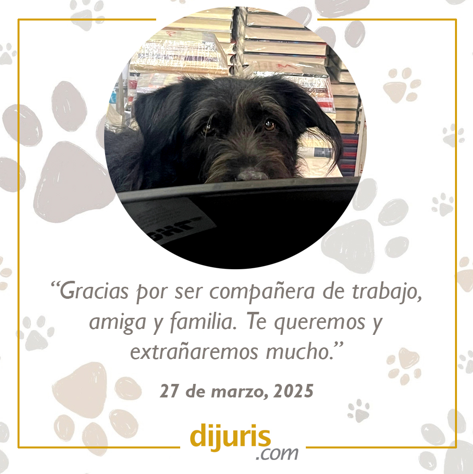 El equipo de Dijuris expresa su profundo pesar por la pérdida de nuestro querido compañero, quien nos brindó innumerables momentos de felicidad. Su presencia, siempre atenta y protectora, hacía que cada visitante de la librería sintiera la irresistible necesidad de acariciarla.
