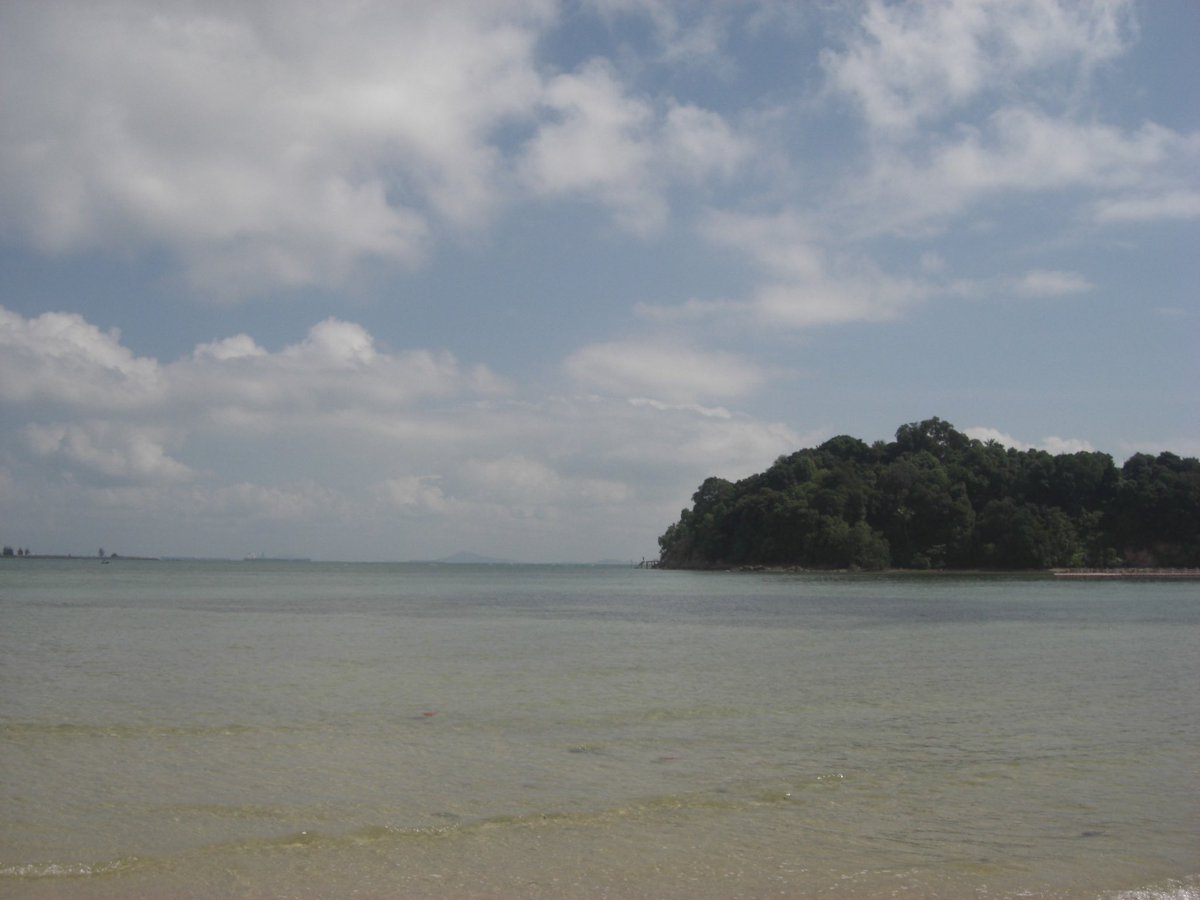 seqbaat's tweet image. 