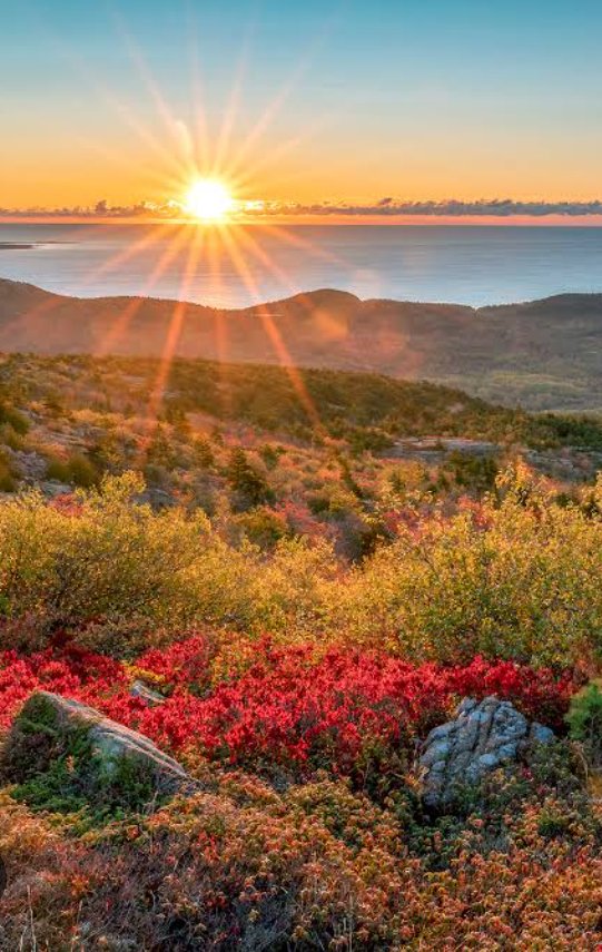 Good morning dear x 
friend's ❣️🌼🌻🦚🌻🌄 

have a peaceful morning!🌼🤍

Stay happy, stay healthy, stay connected!❣️🥰

 🌹🌻🌻  Good Morning 🌻🌻🌹