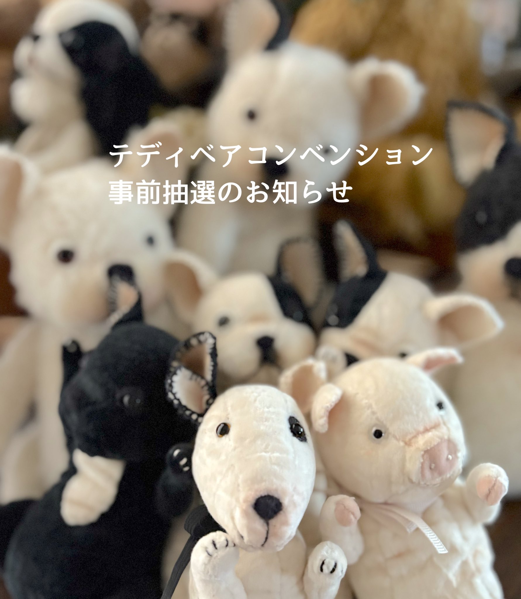 澤田クマ制作所 𓃰 (@chonwool) / X 澤田クマ制作所 𓃰 (@chonwool) / X