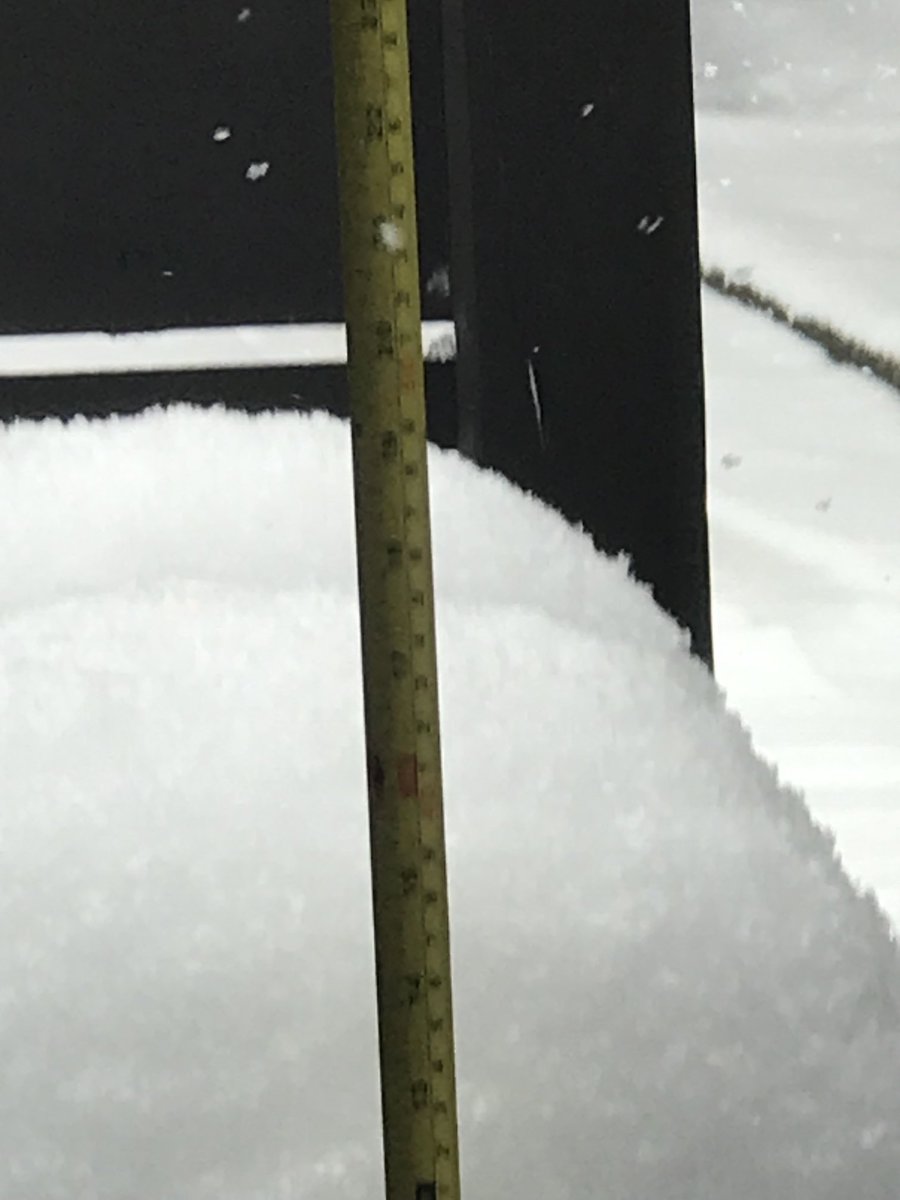 Started snowing yesterday in Edmonton.. almost 2 ft now and still comin down !!