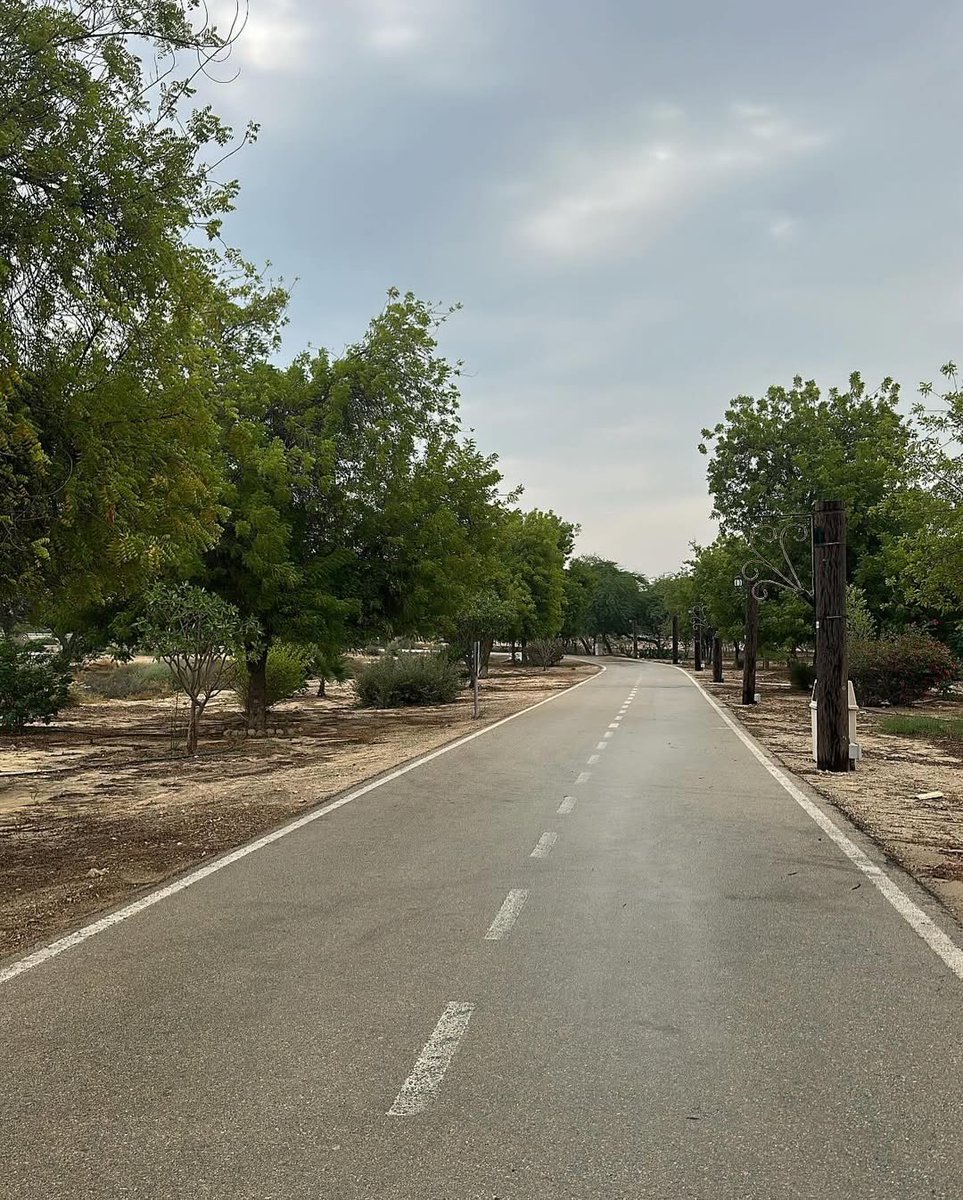 و نبدا مشوار تويتر