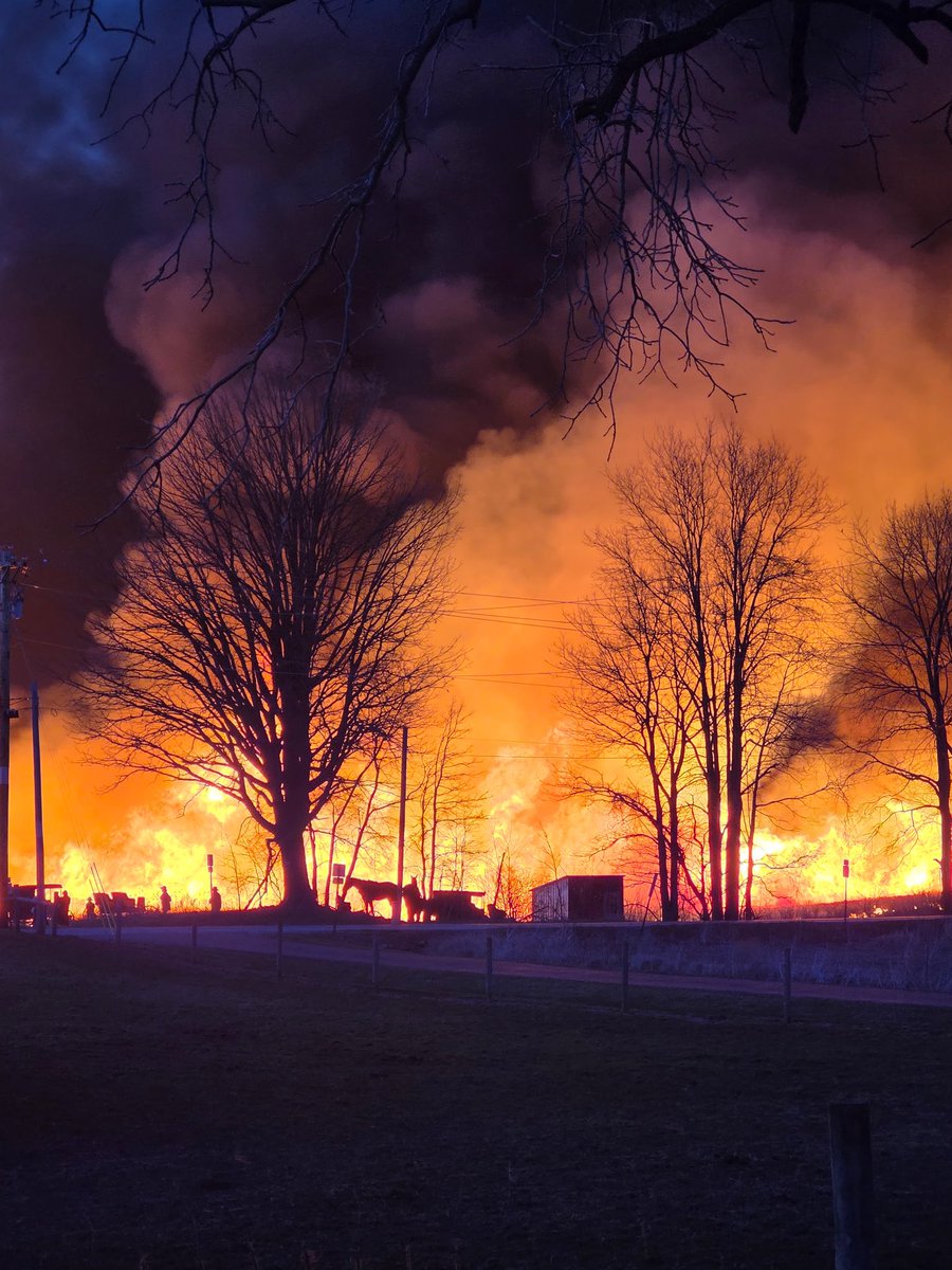 Neighbors burned their switchgrass last night. Quite the spectacle for the horses and cattle.