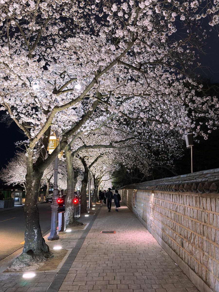 Hello_Dongwon's tweet photo. 어제 경주에서 놀라운 일이 벌어졌다 https://t.co/dJnZsux3gG