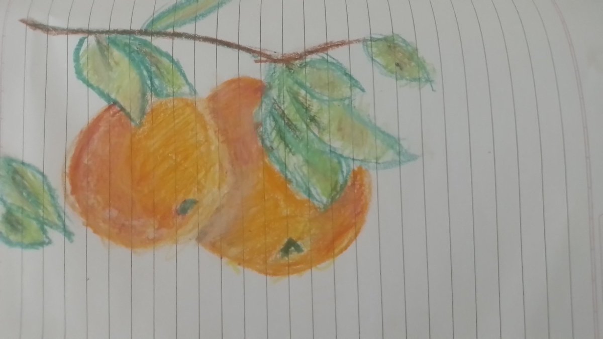 Random crayon drawings 😛 (ps don't mind the camera quality my phone sucks)