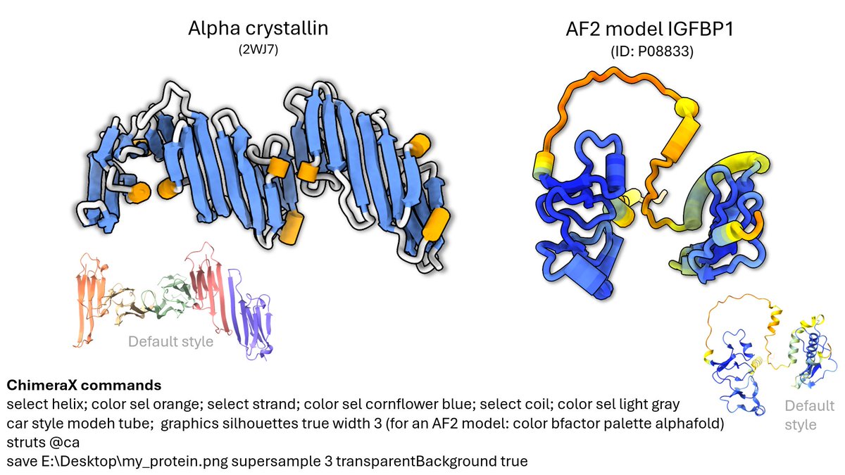 Quick tip for busy people: you can improve the aesthetic of your proteins using the following commands in #ChimeraX. You can also add some shadows using the visual effects available in PowerPoint &lt;protein emoji&gt;

ps. before the render, remove the struts using the visual display