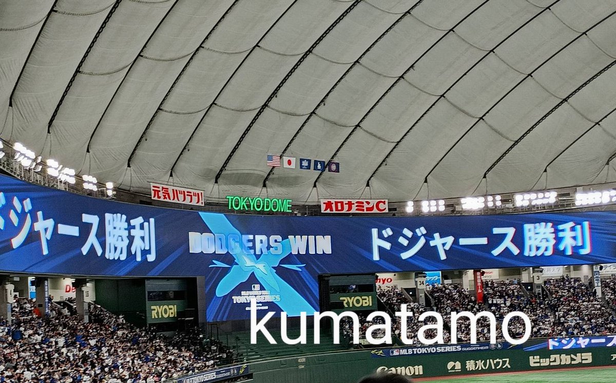 Kumatamoクマタモ (@kumatamo_menu1) / Posts / X