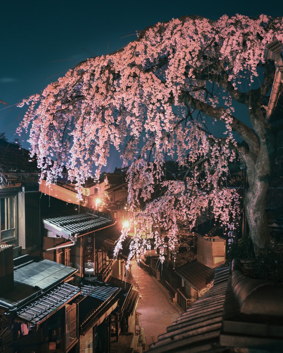 こんなにも美しい景色があった、と後世に語り続けていきたい。