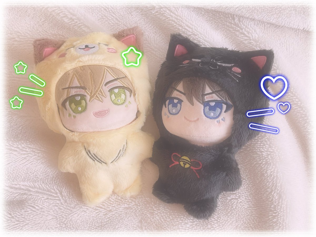 らぁてぃん🐱 tweet media