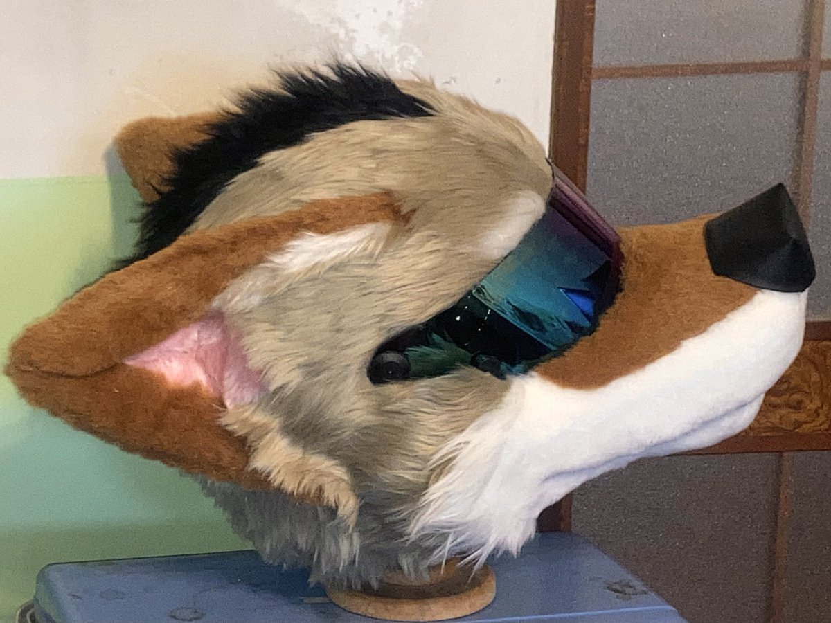 🌯TOTAN🌯 tweet media