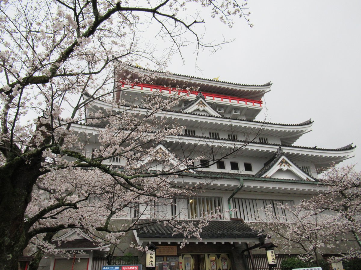 AtamiCastle's tweet image. 本日雨。熱海城さくら開花状況です。本日お城の前は3分から4分咲きとなりました。庭園は手前２分咲き奥は1分咲きにも満たない感じです。しだれ桜も咲き始めました。 #熱海城 #熱海 #開花 #桜 #さくら #ソメイヨシノ #Atami #sakura #Atamicastle