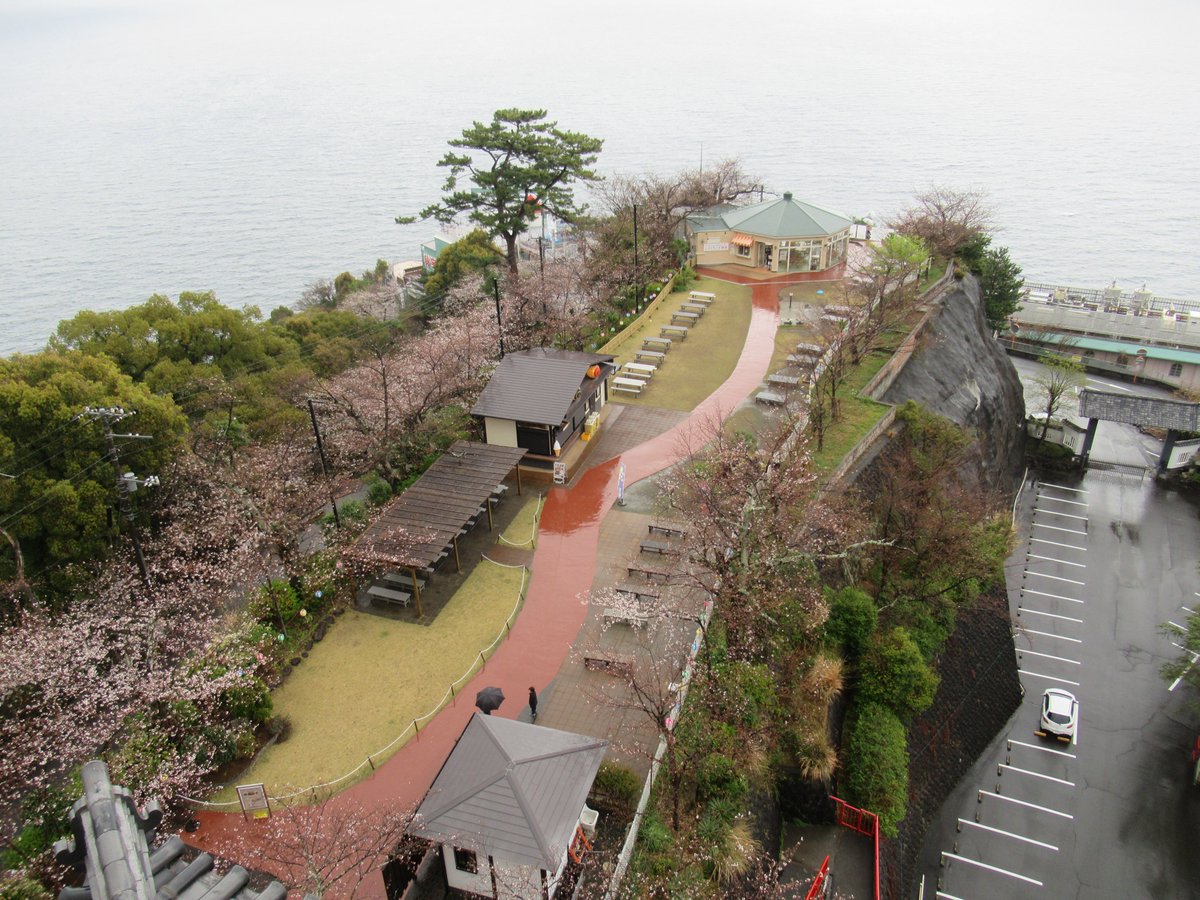 AtamiCastle's tweet image. 本日雨。熱海城さくら開花状況です。本日お城の前は3分から4分咲きとなりました。庭園は手前２分咲き奥は1分咲きにも満たない感じです。しだれ桜も咲き始めました。 #熱海城 #熱海 #開花 #桜 #さくら #ソメイヨシノ #Atami #sakura #Atamicastle