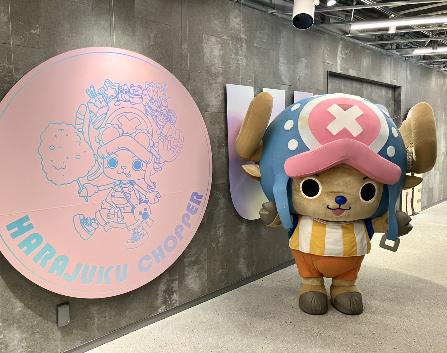 ONE PIECE スタッフ【公式】/ Official on X: 