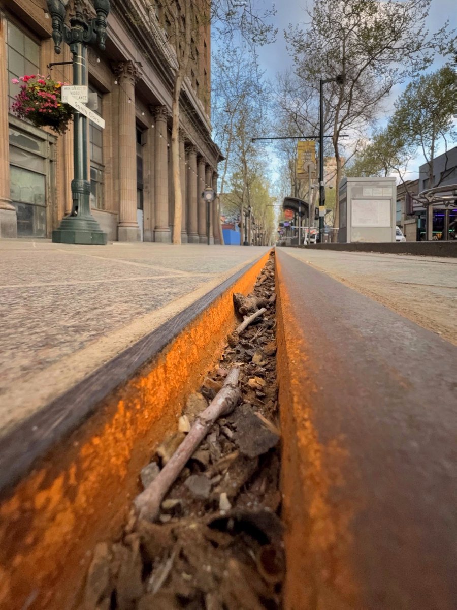 Transit_Ctr's tweet image. VTA light rail tracks a little rusty after almost 3 weeks of no service? 😳🫣😶‍🌫️

#scvta #lightrail #transit