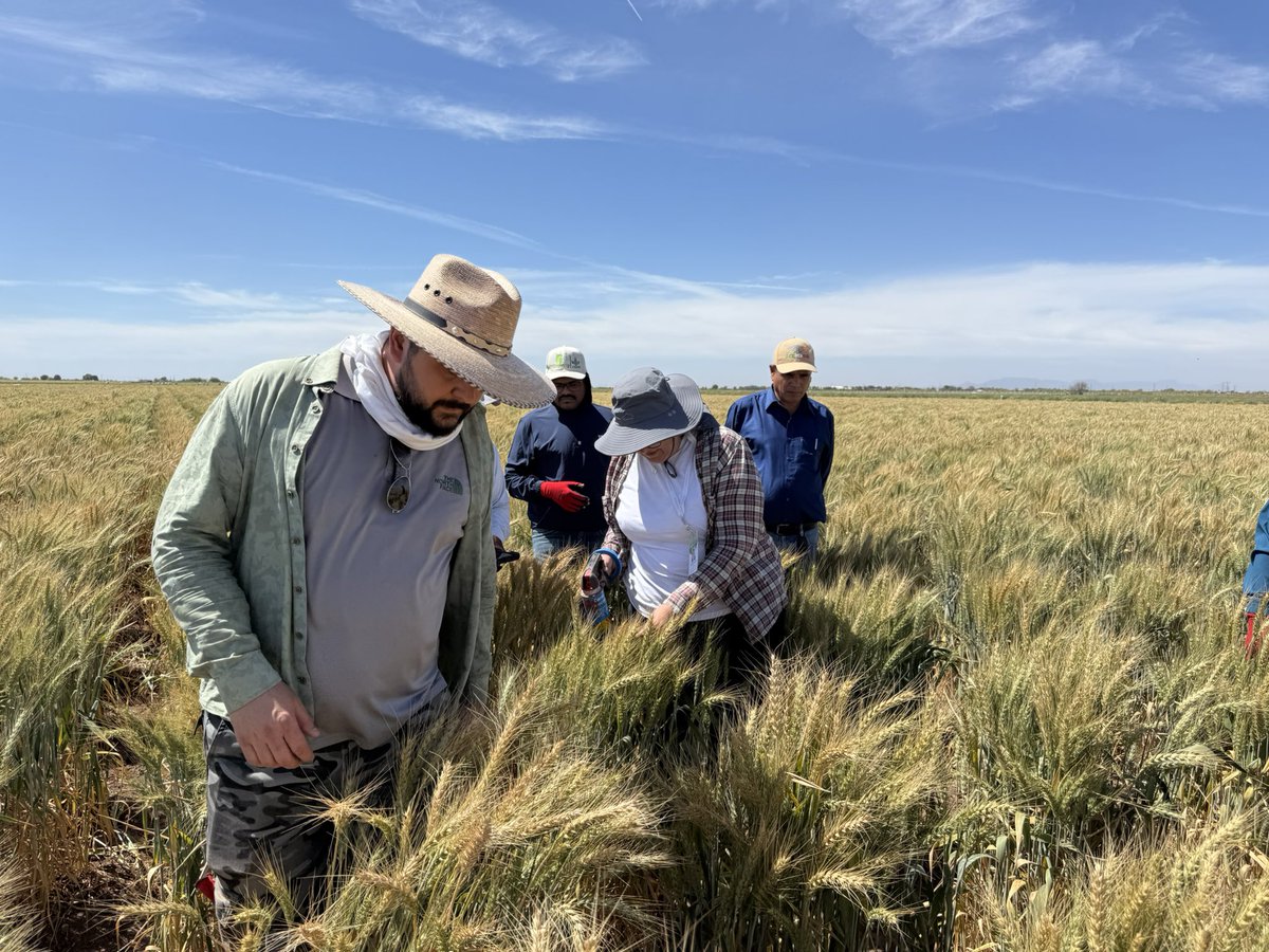 Velu Govindan tweet media
