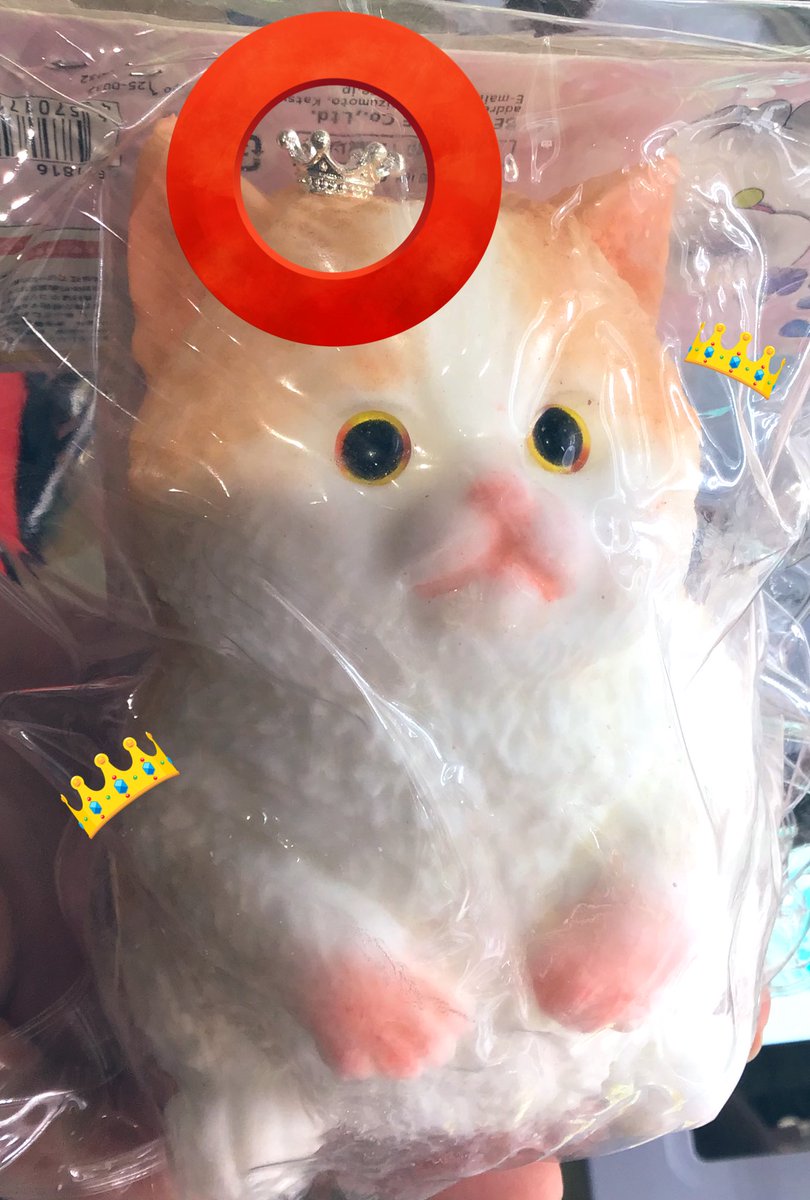 癒されたい方朗報です🐈🤍／ いまSNSでも話題っ🌟 大人気のねこちゃん