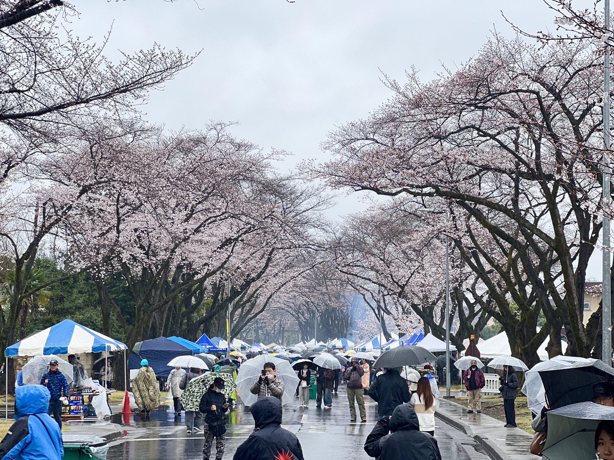 Yokota Air Base 横田基地 on X: 