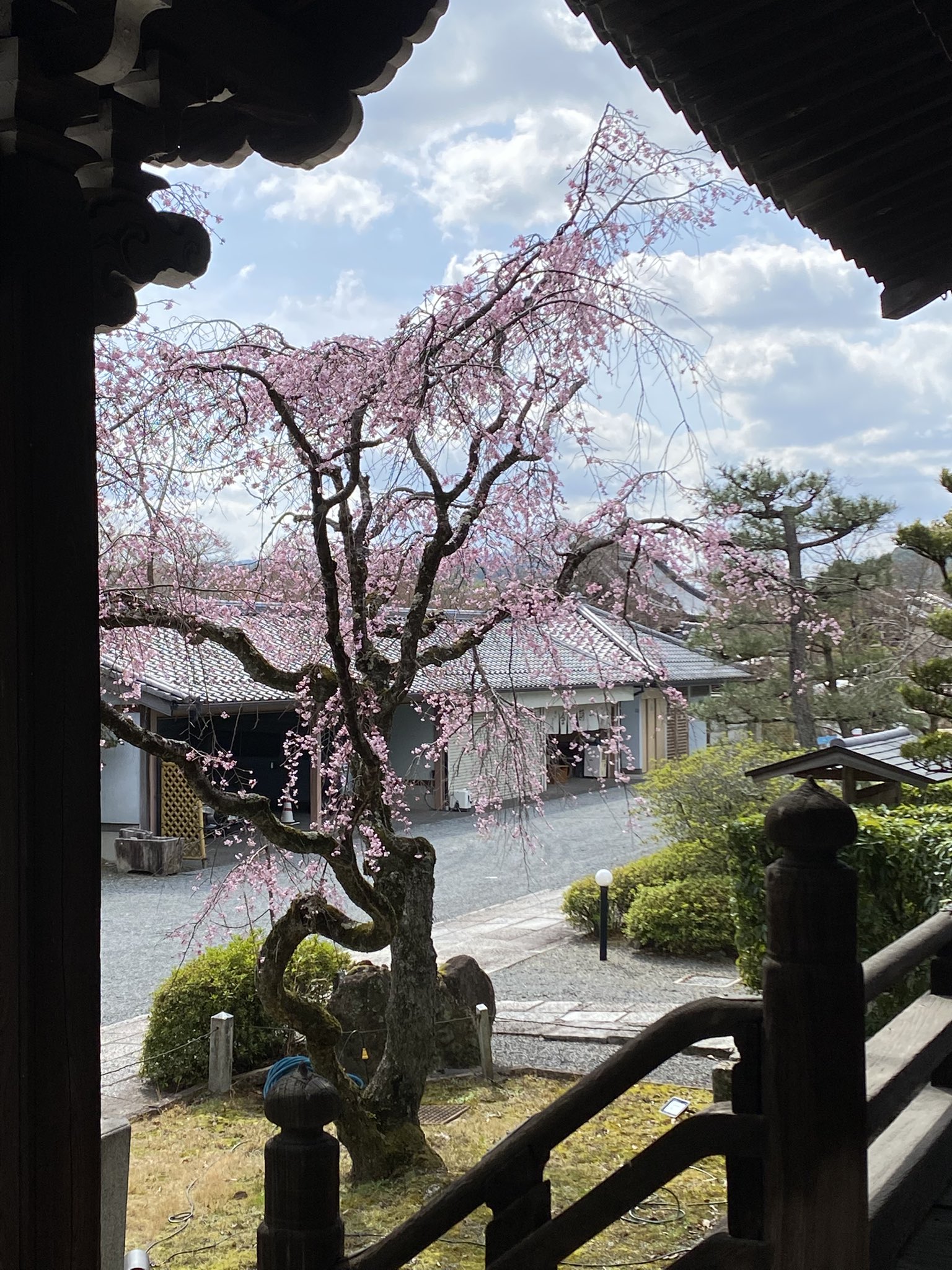顕本法華宗 総本山 妙満寺 (@myomanji) / X 顕本法華宗 総本山 妙満寺 (@myomanji) / X