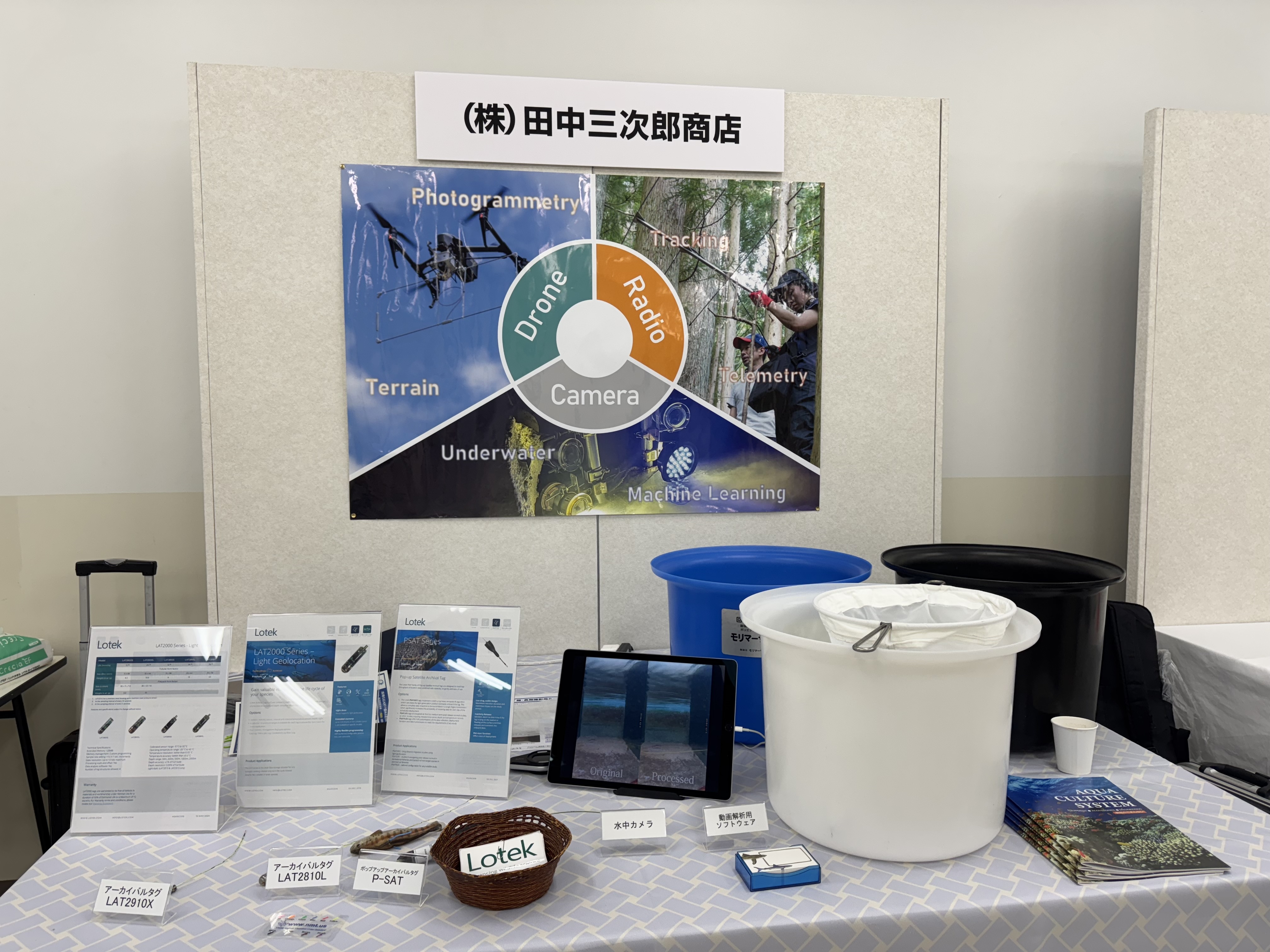 🐙生物研究社(海洋と生物)🐟 (@aquabiology) / X 🐙生物研究社(海洋と生物)🐟 (@aquabiology) / X