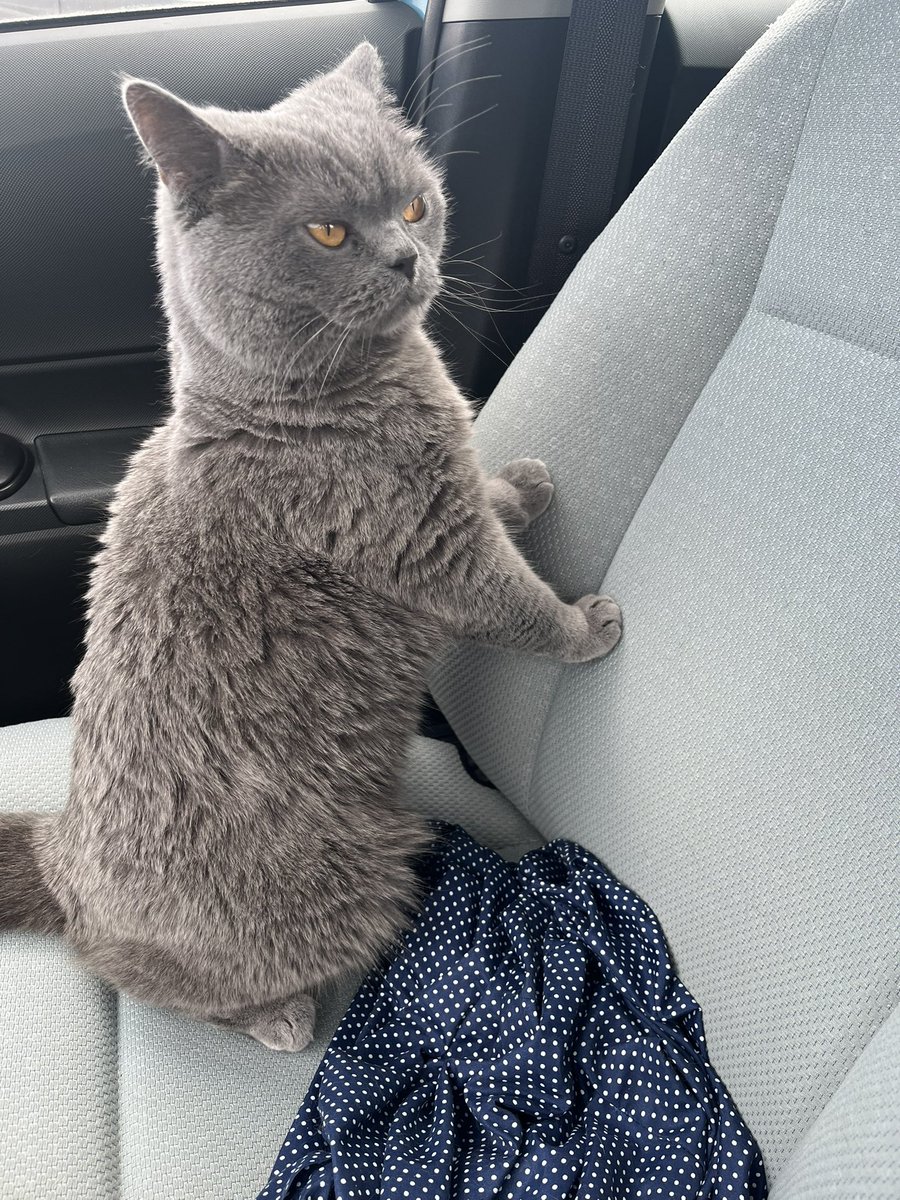 My face when someone calls me stinky.