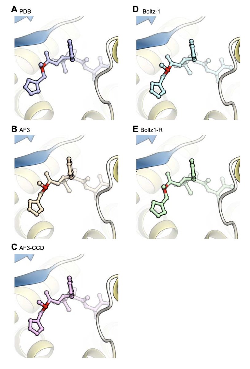 Improving Stereochemical Limitations in Protein-Ligand Complex Structure Prediction  

1. This study introduces a novel approach to address stereochemical errors in protein-ligand complex structure prediction by AlphaFold3 and its clone model, Boltz-1. These errors include