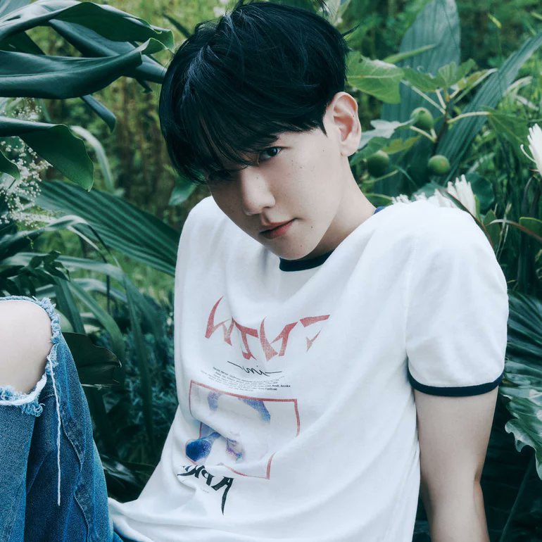 kchartsmaster's tweet photo. BAEKHYUN has donated 200 million won to restore forest fire damage.

https://t.co/dXab3TTb48 https://t.co/JyVCX8s7th