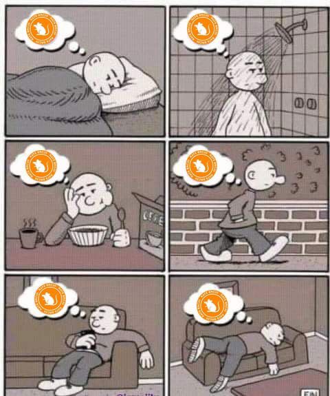 $RATS 家人在哪？ 咱们互关一下？ 推特好像限流了 干

铭文社区玩家也可以相互关注

#ORDI #SATS