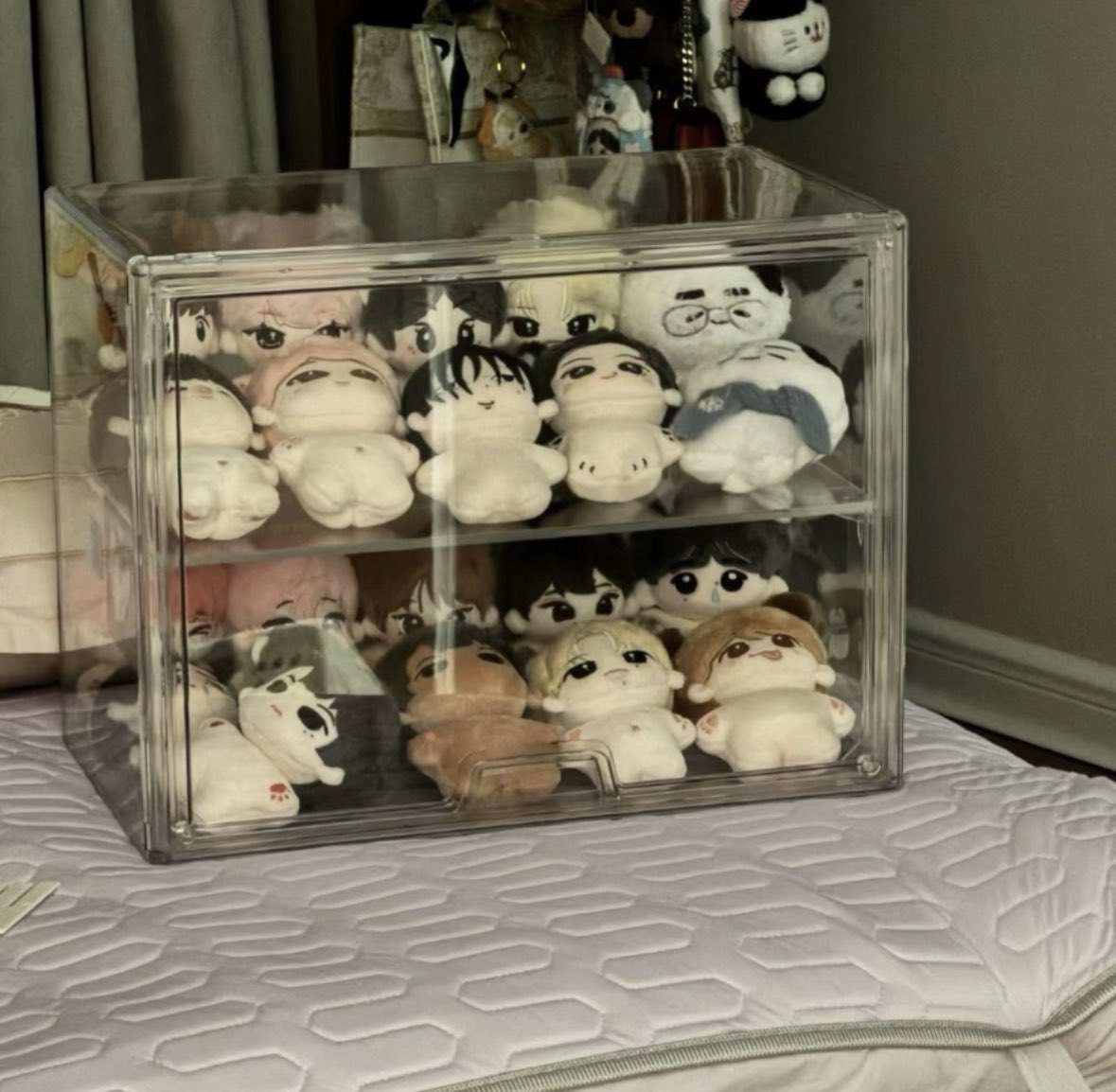 wts lfb ph go

doll storage box / cabinet from cn 

340 all in price 

— doo &amp; dop: 4/15 ; 50% dp ; rembal once onhand ✅ 
— neta (2-3 weeks after ship out)
 
dm to order ! 

## enhypen 10cm 20cm doll