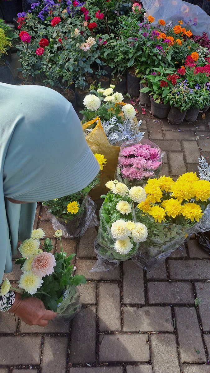 ndah 👩‍🌾🌹🌻 tweet media