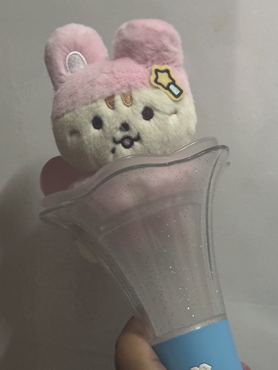 hutaenako's tweet photo. Haetnyangi and Atuh came home today 🩵🩵 Thank you so much again @SamYooki for your pasabuy 🥹 https://t.co/sQxAG9mWDY