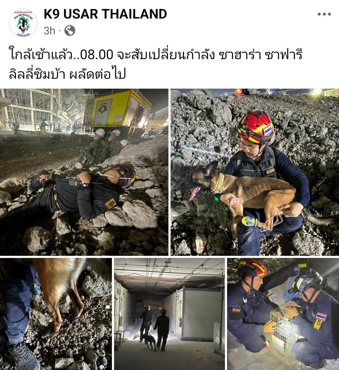 b_surisa's tweet photo. K9 USAR Thailand’s rescue dogs worked tirelessly overnight in Bangkok, searching collapsed building rubble for survivors following the Myanmar earthquake #แผ่นดินไหว #earthquake #Thailand https://t.co/m6MAgkCsyL