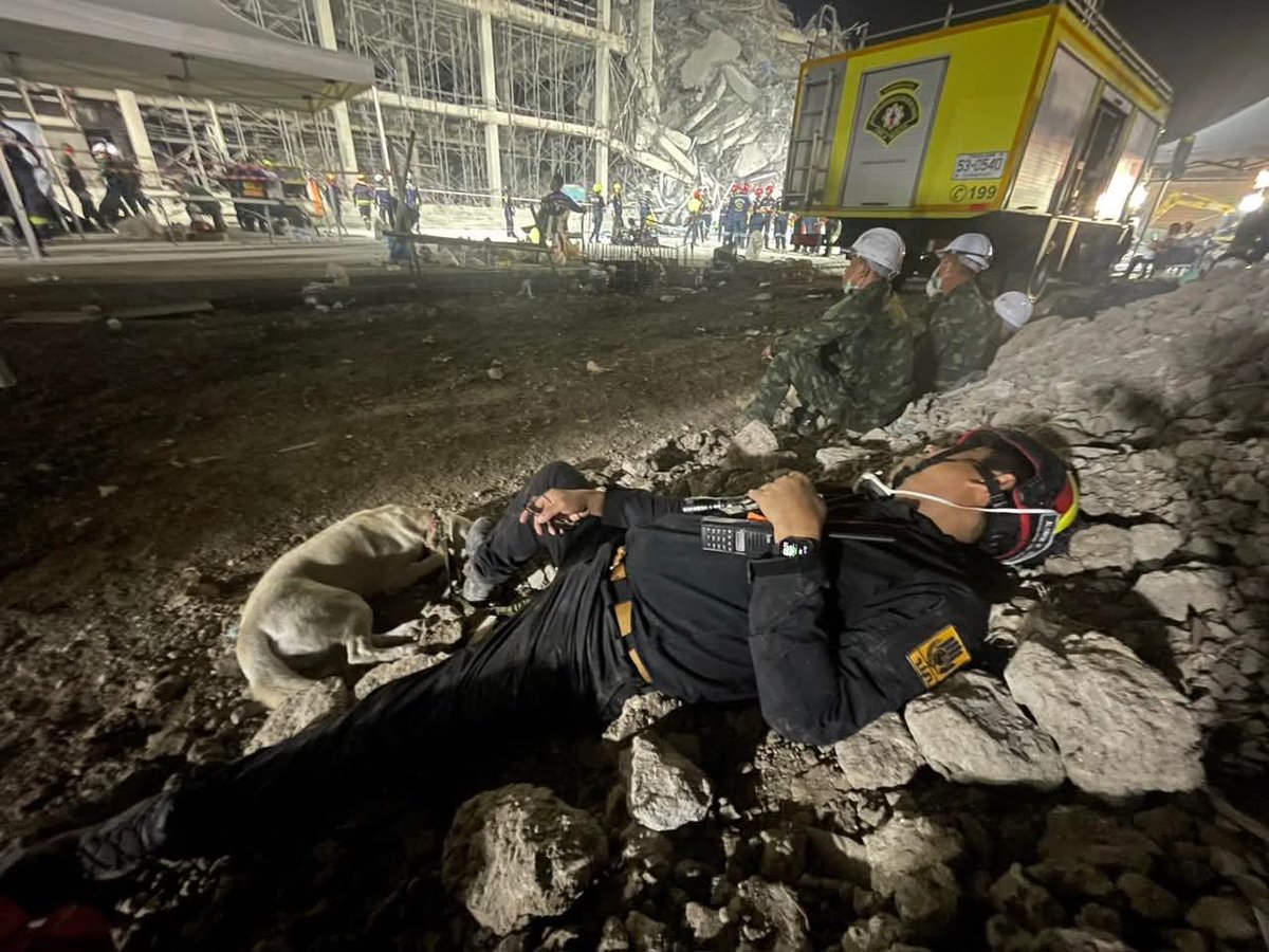b_surisa's tweet photo. K9 USAR Thailand’s rescue dogs worked tirelessly overnight in Bangkok, searching collapsed building rubble for survivors following the Myanmar earthquake #แผ่นดินไหว #earthquake #Thailand https://t.co/m6MAgkCsyL